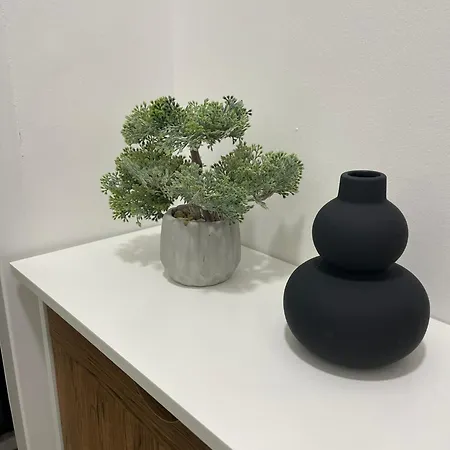 Begonia Apartament *